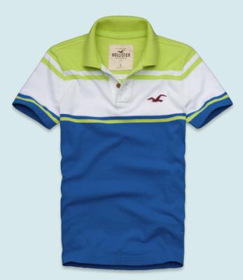 Hollister Men Shirts-451